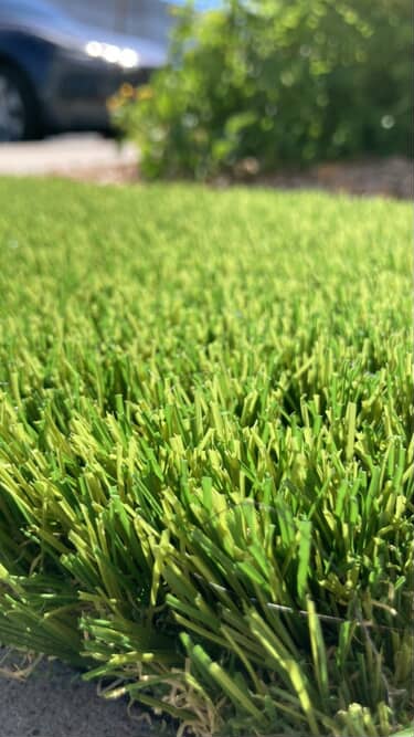 S.Olive Artificial Turf
