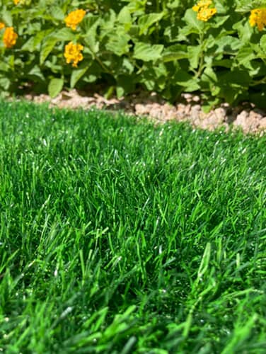 Sparkling Artificial Turf