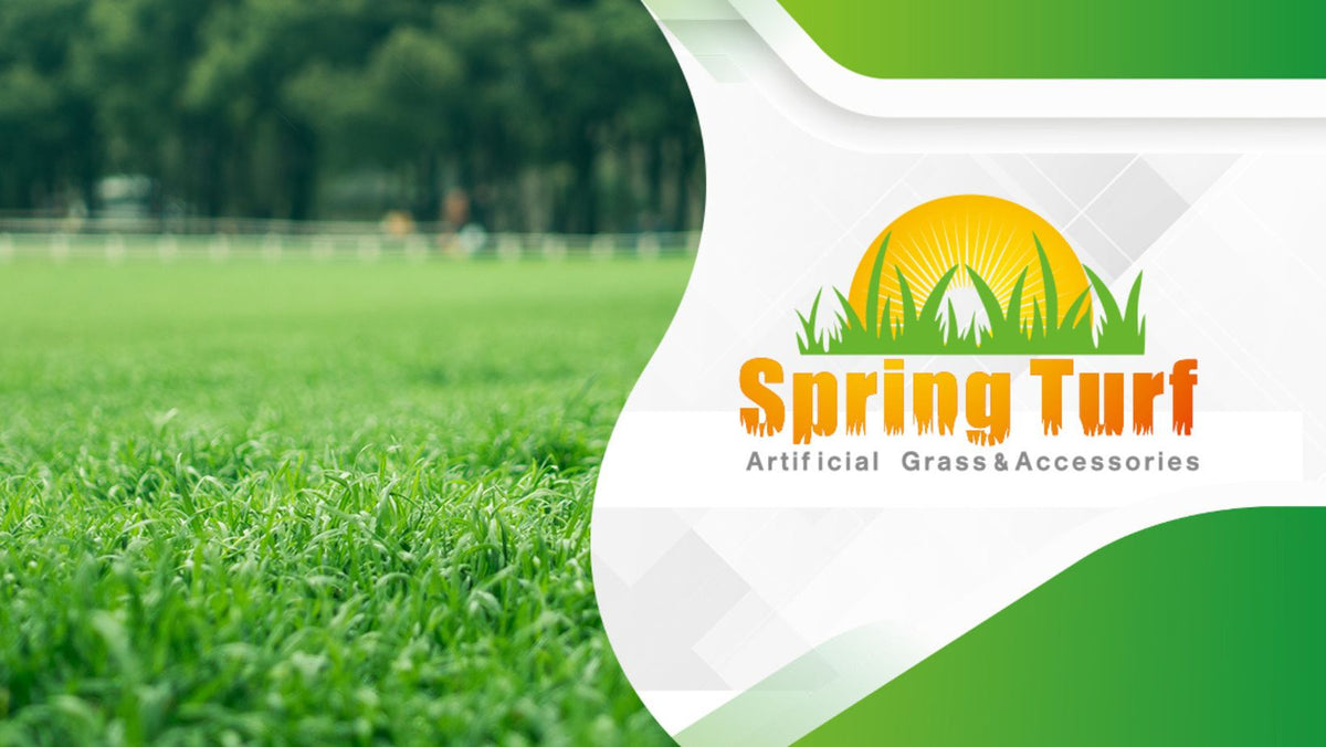 Spring Turf Las Vegas | Artificial Grass Experts – Spring Turf LV